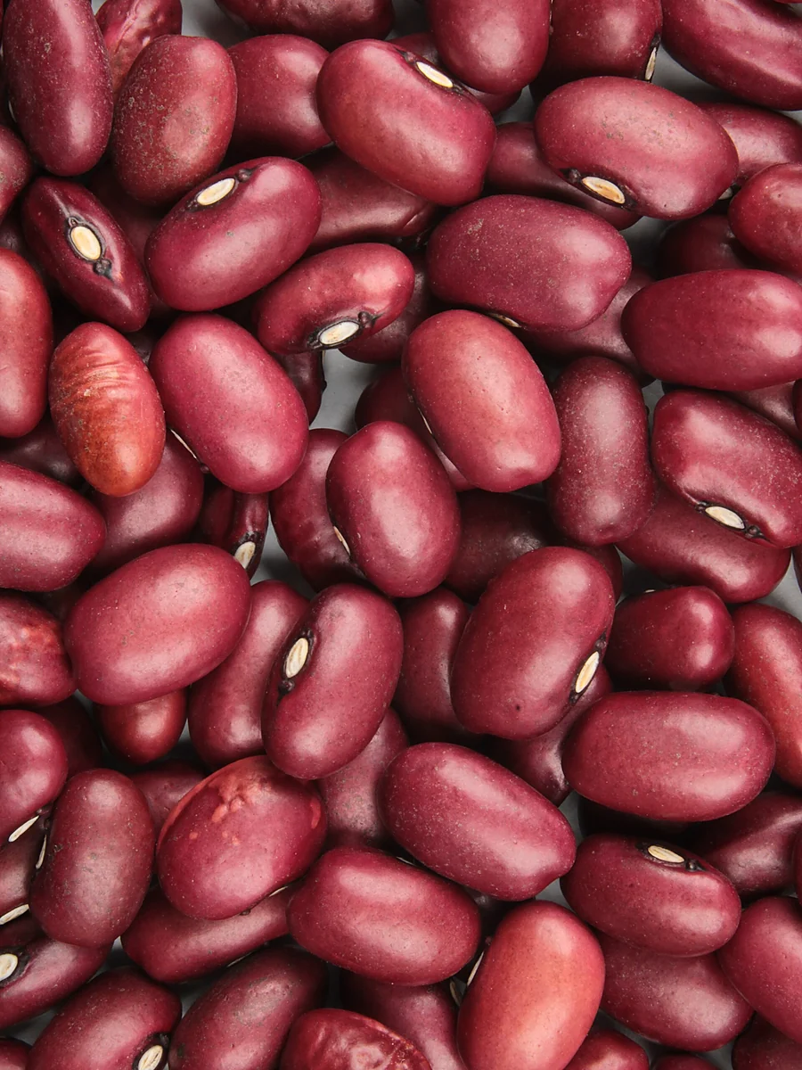 Small Red Beans — Frijol Rojo Corto